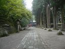 日枝神社参道石畳と両側に奉納された石燈籠