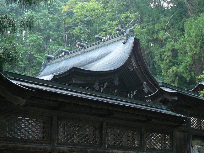 ���R�s�E���}�_��