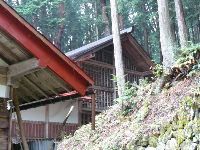 ���R�s�E���R�_����