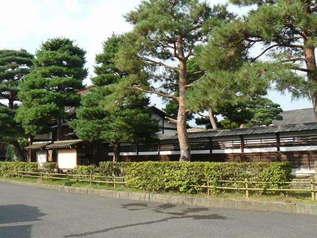 ���R�s�E���R�w��