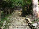 清峯寺の本堂へ続く苔むした雰囲気がある参道の石段
