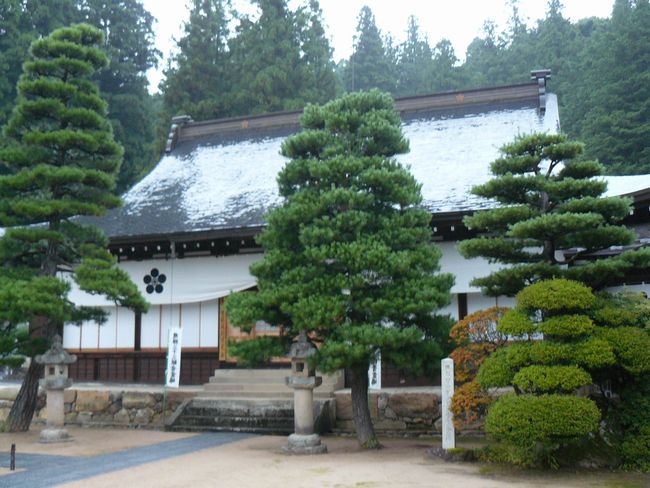 ���R�s�E�_����