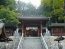 桜山八幡宮境内から見上げた神門と石造狛犬