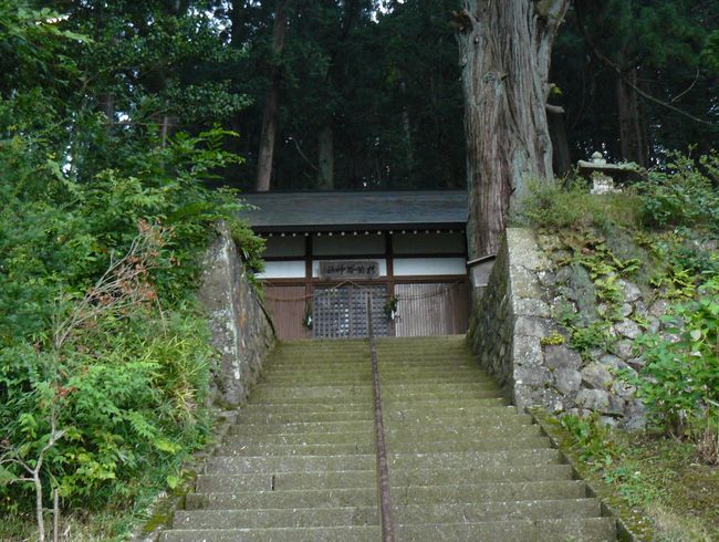 ���R�s�E�_���_��