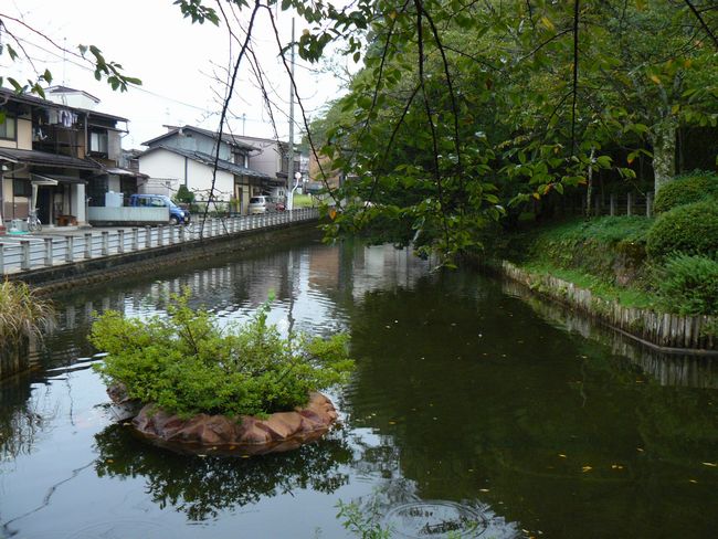 ���R�s�E���R��