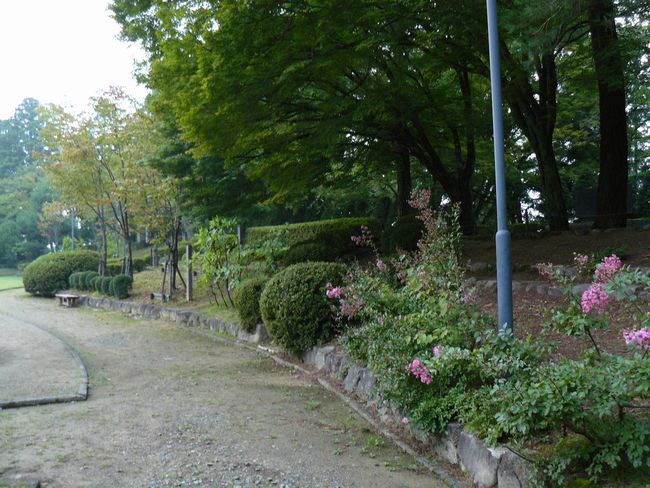 ���R�s�E���R��