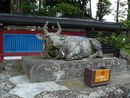 飛騨天満宮社殿前に安置されている信仰の対象になっていると思われる石造撫で牛