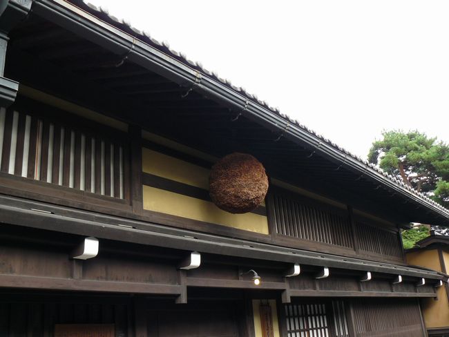 ���R�s�E�g���ƏZ��