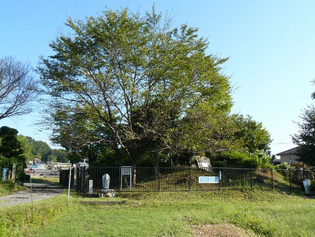 �i�K���Õ�