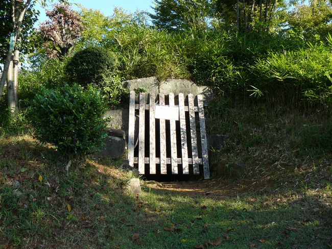 �i�K���Õ�