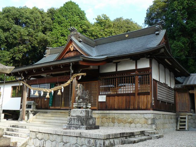 ���R�_��