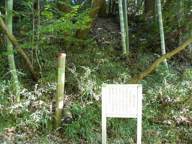 �B���R���