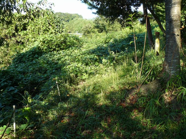 �B���R���