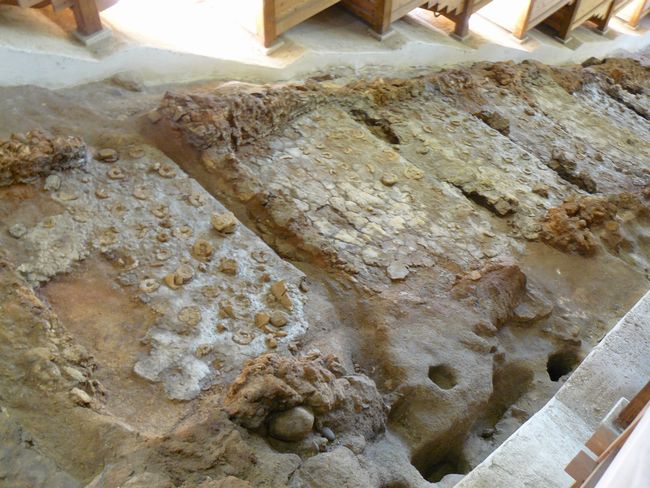 �����~����q��