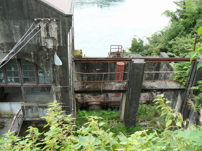 �����������d��