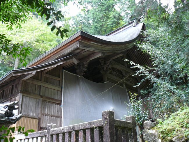 ���t�_��